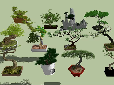 Various Potted Bonsai Plants With Unique Shapes Decorative Pots And Green Foliage 3d model