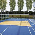 Outdoor Basketball Court With Blue Yellow Surface White Lines Basketball Hoop Trees And Fence 3d model