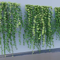 Natural Hanging Green Vines With Lush Leaves For Indoor Wall Decoration