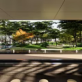 Tranquil Garden Landscape With Lush Trees Water Feature And Sunlit Pathway