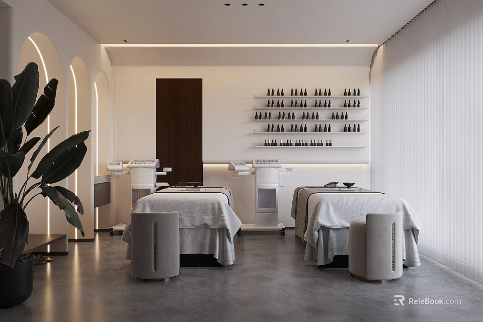 Modern Beauty Salon Interior With Treatment Beds Product Shelves And Large Green Plant 3d model 