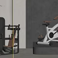 POLIFORM Modern Gym Interior With Black Strength Machine And White Exercise Bike