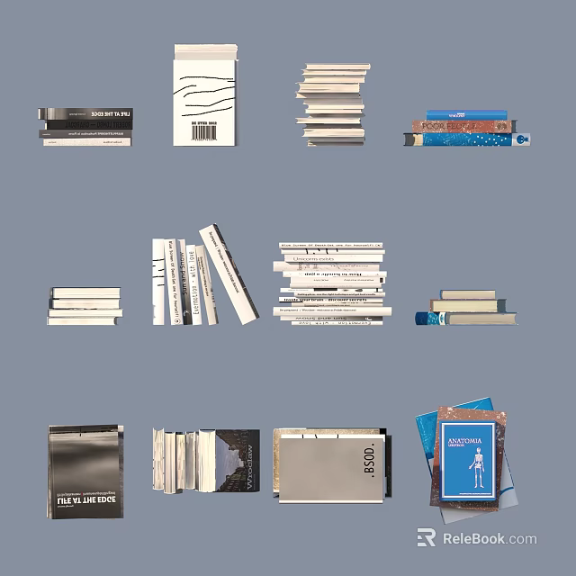 Stacked Books And Magazines Collection With Various Types And Diverse Covers 3d model 