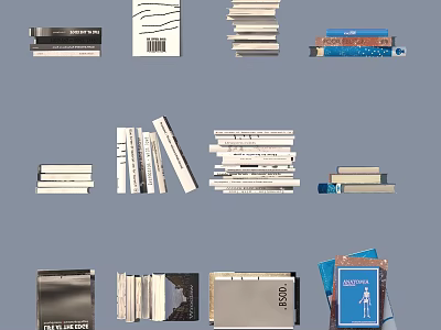 Stacked Books And Magazines Collection With Various Types And Diverse Covers 3d model