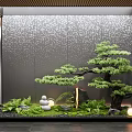 Indoor Landscape With Glass Frame Bonsai Pine Tree Moss Stacked Stones Small Lights Textured Wall