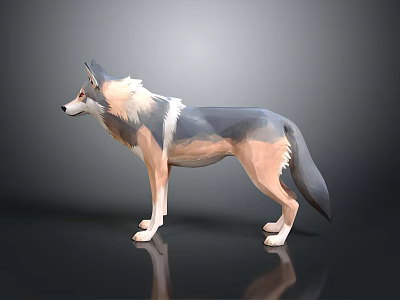 Stylized Low Poly 3D Wolf Model With Gray Beige Fur Standing Pose 3d model
