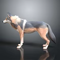 Stylized Low Poly 3D Wolf Model With Gray Beige Fur Standing Pose