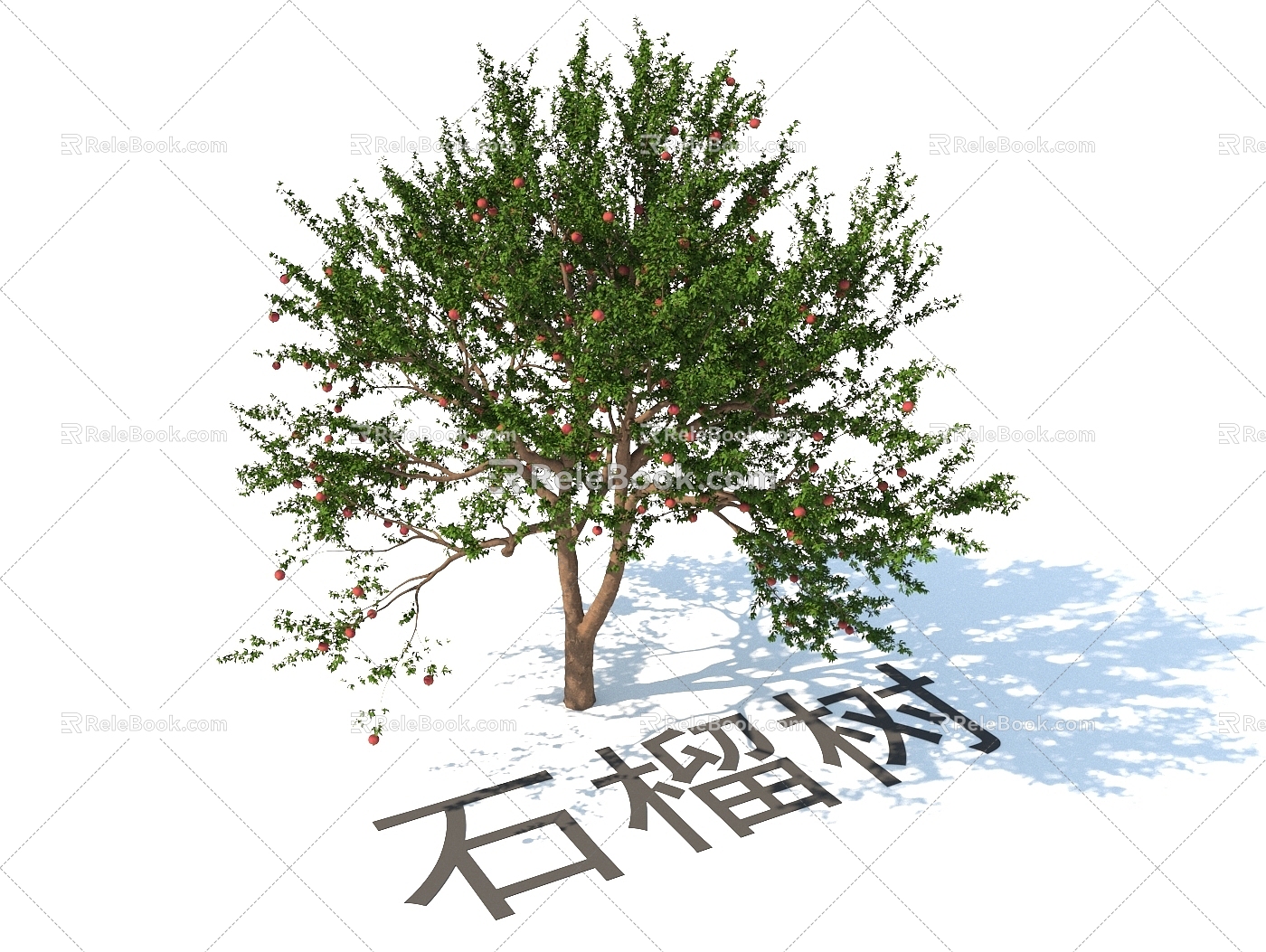 modern plant fruit tree pomegranate tree 3d model