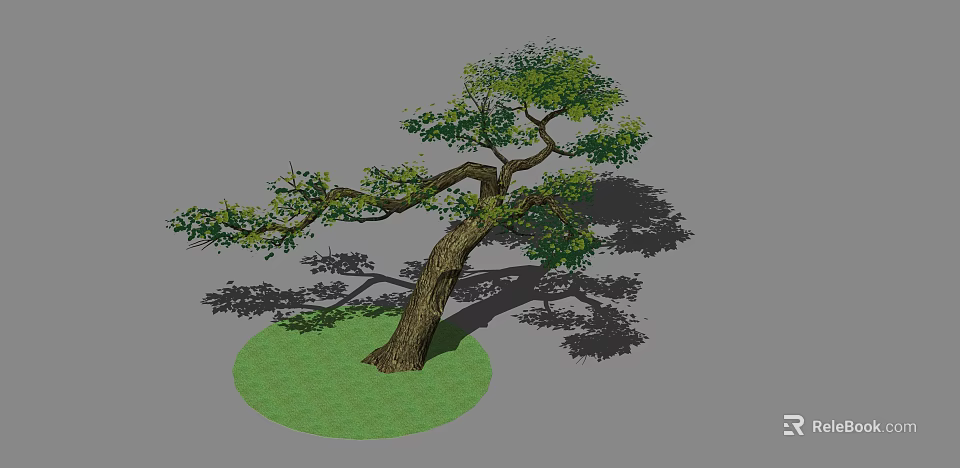 Lush Green Shrub With Curved Trunk And Dense Foliage On Circular Grass Patch 3d model 