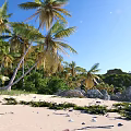 Scenic Coastal Landscape With Blue Sky Green Vegetation Palm Trees Rocks And Sandy Beach