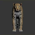 Realistic Detailed Leopard Standing Gracefully on Dark Background With Spotted Fur 3d model