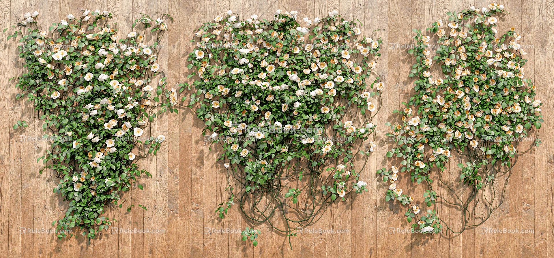 Rose Rosa Vine Plant Climbing Vine Green Plant Flower Wall 3d model