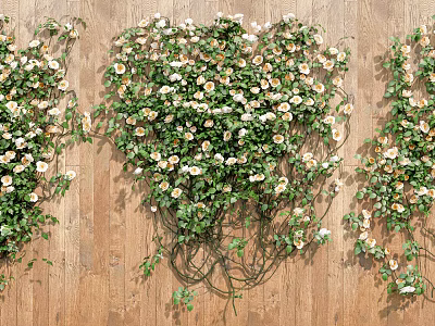 Lush Twisted Vines with Green Leaves and White Flowers on Wooden Background 3d model