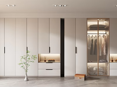 Modern Wardrobe Interior Design With White Cabinets Glass Doors Drawers And Hanging Clothes 3d model