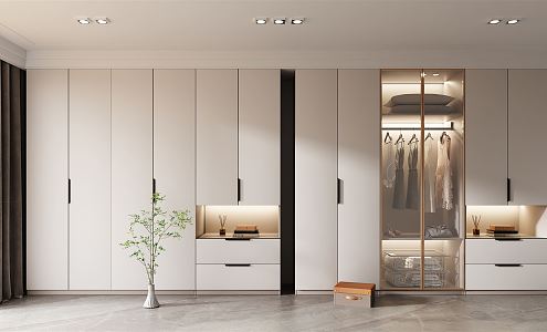 Light Luxury Wardrobe 3d model