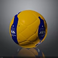 Yellow And Blue Household Sports Ball With FIFA Logo And Durable Design