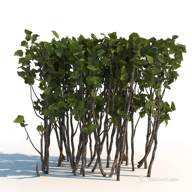 Shrubs With Lush Green Leaves And Slender Branches For Garden Decoration 3d model 