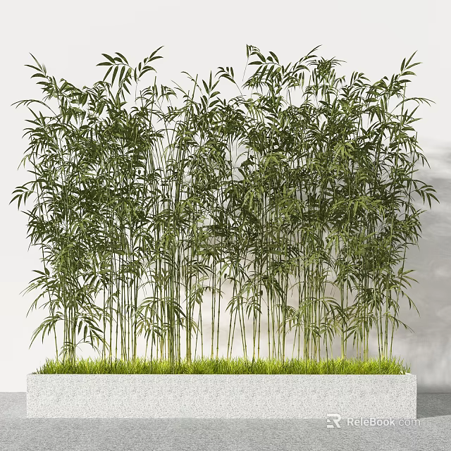 Lush and Tall Bamboo Growing in White Rectangular Planter Against Light Colored Wall 3d model