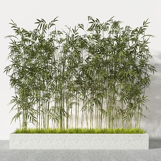 Modern bamboo 3d model