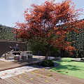 Courtyard Garden Design Featuring Wooden Deck Red Leaf Tree Outdoor Seating And Greenery Wall