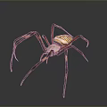Yellow and Black Striped Spider with Long Legs on Dark Background