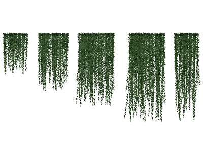 Five Green Hanging Vines Decorative Plants for Indoor Wall Decoration 3d model
