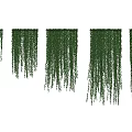 Five Green Hanging Vines Decorative Plants for Indoor Wall Decoration