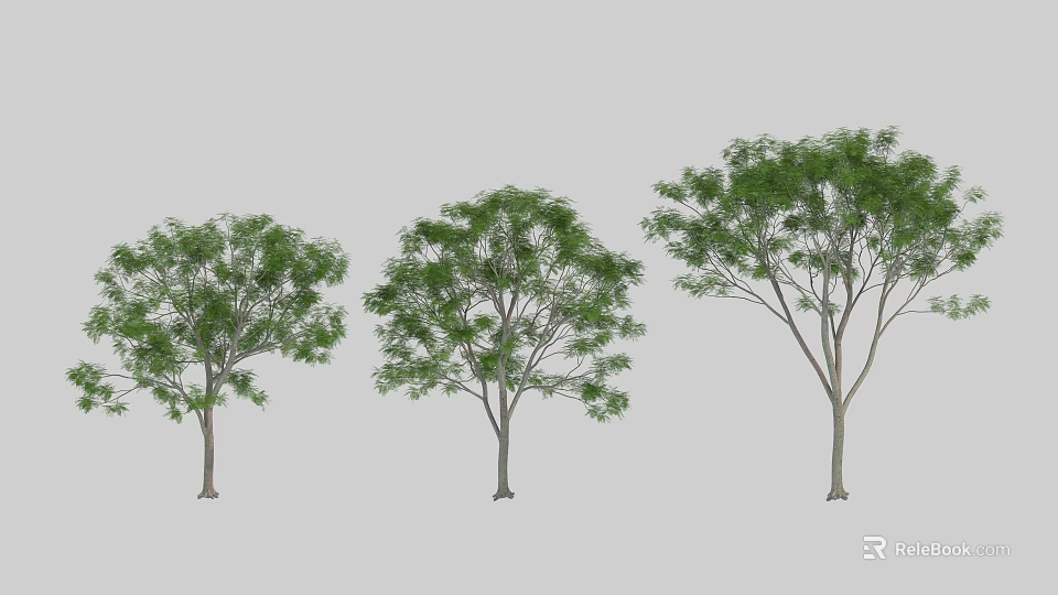 Three Arbor Specimens Featuring Diverse Crown Shapes And Lush Green Foliage 3d model