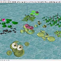 Beautiful Aquatic Flowers Plants With Lily Pads Lotus Blooms Duckweed On Green Water Surface