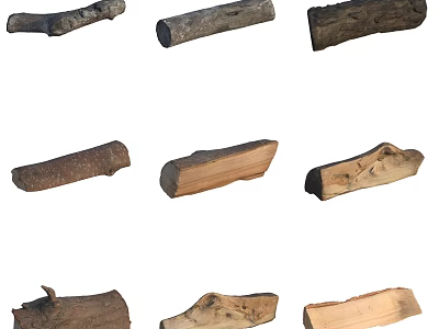 Natural Stone Wood Pieces With Various Shapes And Textures For Decorative Use 3d model