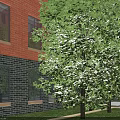 Modern School Building Complex Featuring Sports Field Running Track Lush Greenery And Surrounding Roads