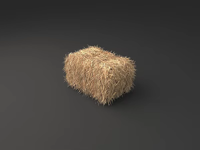 Brown Rectangular Hay Bale Made Of Natural Straw Isolated On Dark Background 3d model
