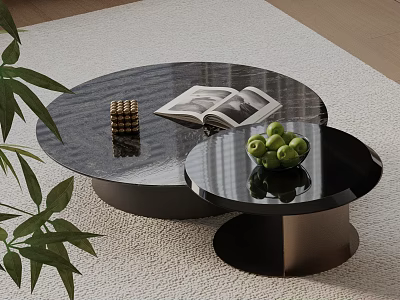 Black Round Sofa Coffee Table Set With Books Fruits And Green Plant On Light Rug 3d model