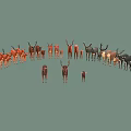 Group of Deer with Various Sizes Antlers and Fawns in Natural Scene