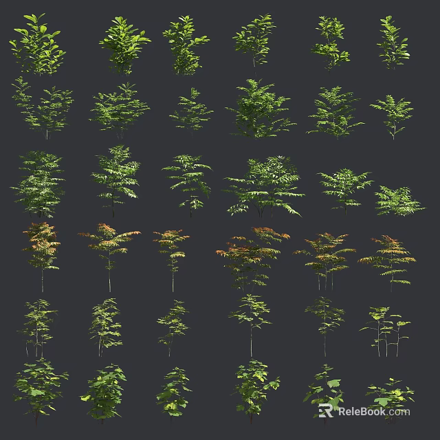 Diverse Arbor Trees With Different Leaf Shapes Colors And Growth Forms 3d model