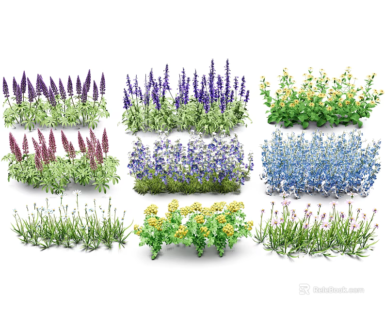 Colorful Ground Cover Plants With Mixed Purple Blue And Yellow Flower Varieties For Landscaping 3d model 