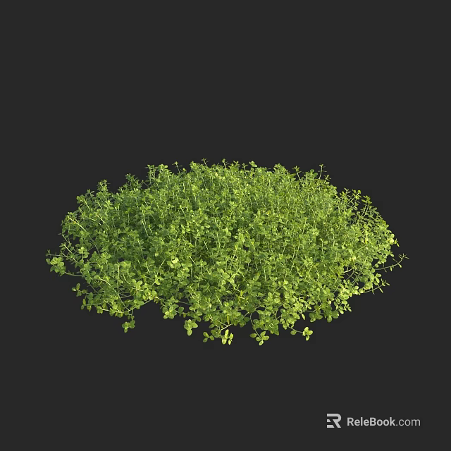 Lush Green Aquatic Plants Growing As Thick Healthy Clump In Water 3d model 