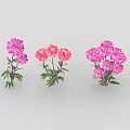Pink And Purple Flowers With Green Leaves And Stems Arranged In Row