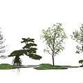 modern tree landscape tree arbor 3d model
