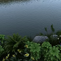 Natural Garden Landscape With Water Edge Lush Ferns Yellow And Blue Flowers And Rocks