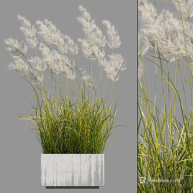 White Feathery Grass Bonsai Potted Plant with Green Yellow Leaves in Gray Square Concrete Pot 3d model 