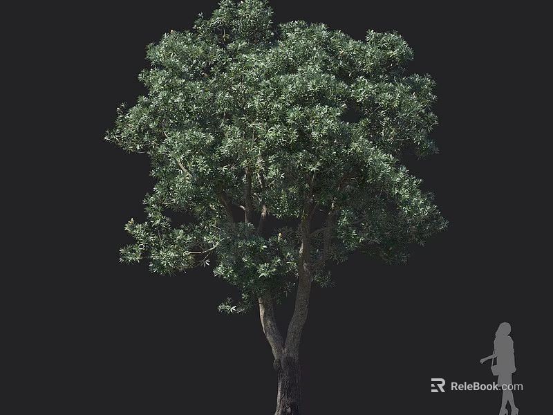 Tall Arbor with Dense Green Foliage and Brown Trunk Beside Human Silhouette 3d model 