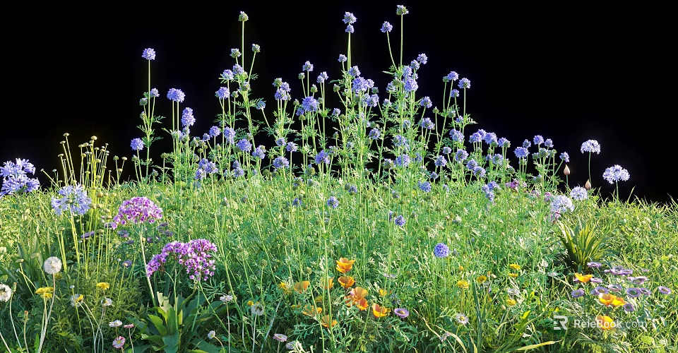 Vibrant Colorful Flowers And Grass In Natural Outdoor Meadow With Purple Pink Yellow Blooms 3d model 
