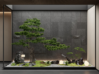 Landscape sketch courtyard sketch interior landscape pine plant combination stone background wall landscape stone 3d model