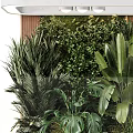 Lush Indoor Landscape With Various Green Plants And Large Tropical Leaves