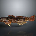 Decorative Fish Shaped Ornament With Brown Orange Colors For Home Decor