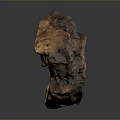 Unique Natural Wooden Stone With Brown Texture Rough Surface And Organic Form
