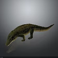 Realistic Green And Yellow Crocodile 3D Model With Detailed Texture On Dark Background