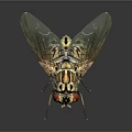 House Fly With Red Compound Eyes Transparent Wings And Striped Body On Dark Reflective Surface