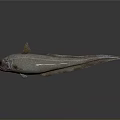 Aquatic Animal Fish With Red Fins Silver Body Reticulated Scales And Reflective Surface On Dark Background